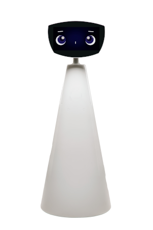 Rovin the Robot